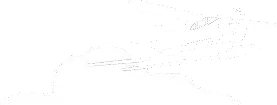 Aviation client
